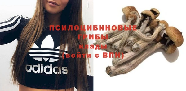 первитин Алексеевка