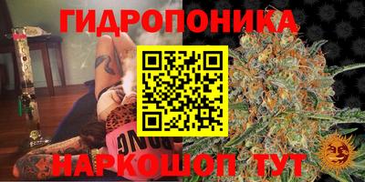 MDMA Ярославль