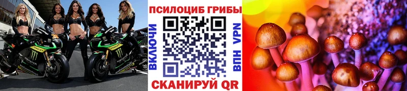 Галлюциногенные грибы прущие грибы  блэк спрут ссылки  Богородск 