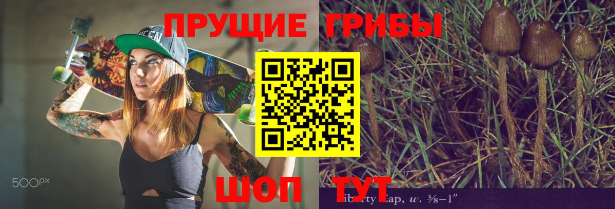 Богородск  Псилоцибиновые грибы ЛСД  Псилоцибиновые грибы мухоморы  Вход с VPN 